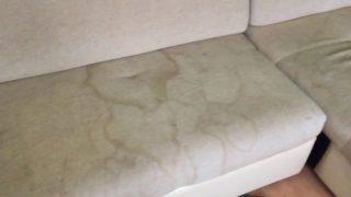 Чем отмыть экокожу белую на диване