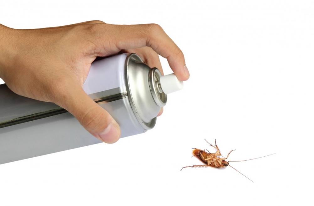 Электронный ультразвуковой отпугиватель тараканов: отзывы и инструкция .